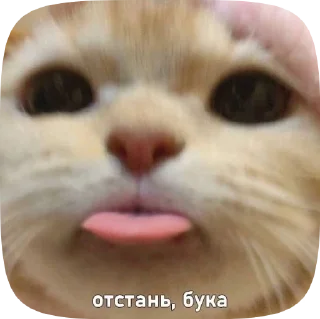 🥸 emoji Video Favorite stickers Telegram sticker 21 of 53