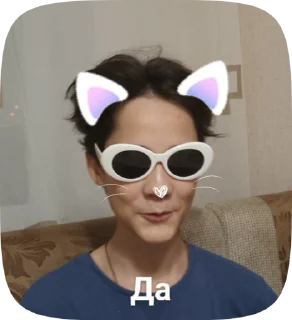 🦭 emoji Video Favorite stickers Telegram sticker 13 of 44