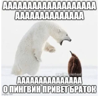 пися сонечки хорошей sticker 3