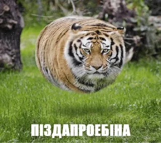 🌟 emoji пися сонечки хорошей Telegram sticker 23 of 120