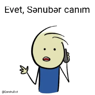 😊 emoji Nicat ve Sənubər @Qonshubot Telegram sticker 12 of 31
