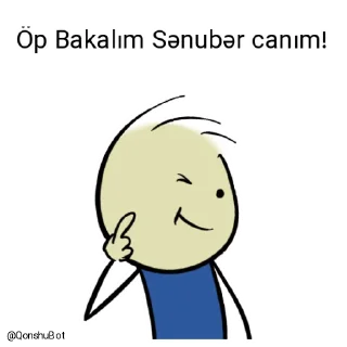 😘 emoji Nicat ve Sənubər @Qonshubot Telegram sticker 5 of 31