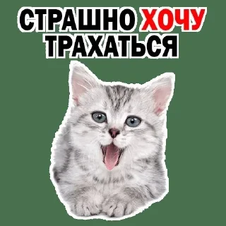 🌟 emoji @yaokamilife Telegram sticker 8 of 66