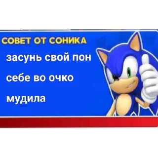 🤩 emoji Советы от Соника Telegram sticker 10 of 11