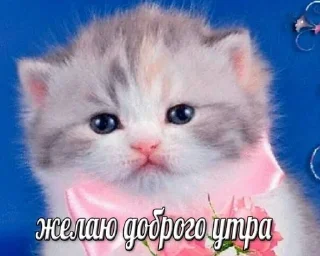 😌 emoji спкнч🤍дбрутр💗 Telegram sticker 14 of 120
