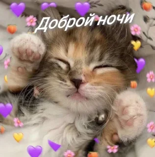 🌸 emoji спкнч🤍дбрутр💗 Telegram sticker 18 of 120
