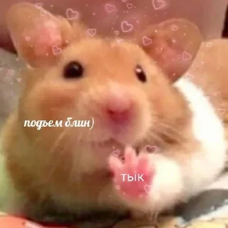 🐹 emoji спкнч🤍дбрутр💗 Telegram sticker 17 of 120