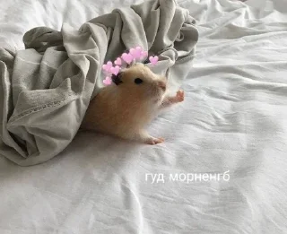 🖐 emoji спкнч🤍дбрутр💗 Telegram sticker 21 of 120