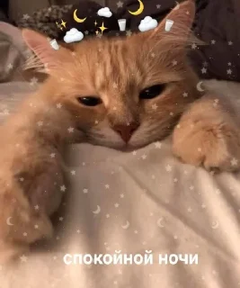 🥛 emoji спкнч🤍дбрутр💗 Telegram sticker 5 of 120