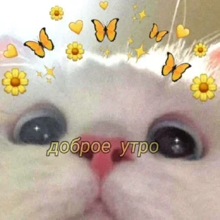 🌼 emoji спкнч🤍дбрутр💗 Telegram sticker 19 of 120