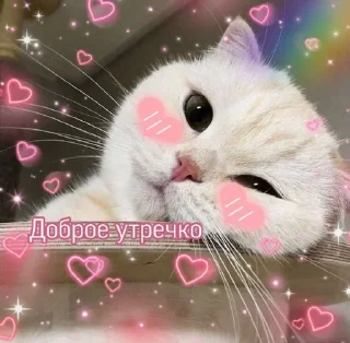 🌤 emoji спкнч🤍дбрутр💗 Telegram sticker 13 of 120