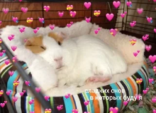 🦋 emoji спкнч🤍дбрутр💗 Telegram sticker 7 of 120