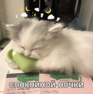 ☁️ emoji спкнч🤍дбрутр💗 Telegram sticker 6 of 120