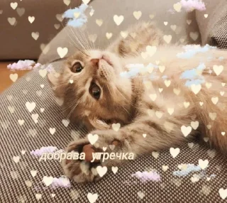 ☺️ emoji спкнч🤍дбрутр💗 Telegram sticker 24 of 120