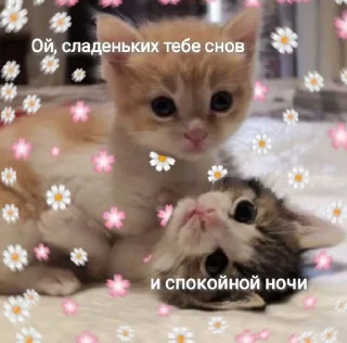 🥱 emoji спкнч🤍дбрутр💗 Telegram sticker 23 of 120