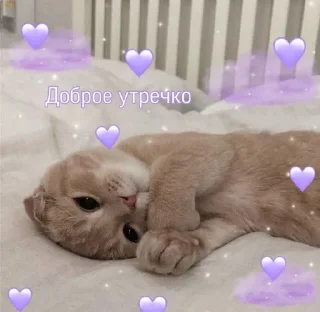 🥗 emoji спкнч🤍дбрутр💗 Telegram sticker 20 of 120