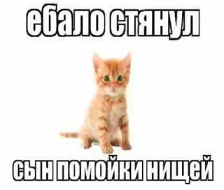 Sticker from 💕Стики тут: @sekstick