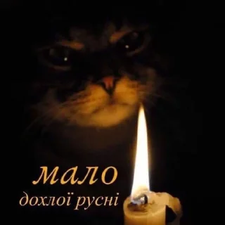 Sticker from на всі випадки життя