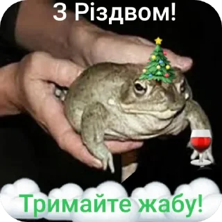 ✋ emoji Тримай жабу, на всі випадки Telegram sticker 12 of 13