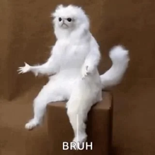 🤨 emoji Гіфки на всі випадки життя Telegram sticker 6 of 12