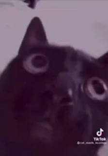 😵 emoji Гіфки на всі випадки життя Telegram sticker 5 of 12