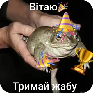 ✋ emoji Тримай жабу, на всі випадки Telegram sticker 9 of 13