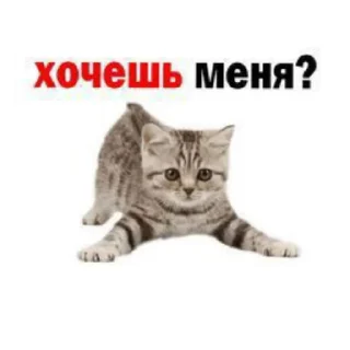 Sticker from поколение пепси