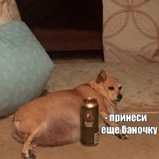 Sticker from На все случаи жизни