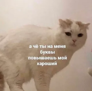 Sticker from На все случаи