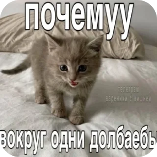 Sticker from секс