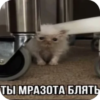 Sticker from секс