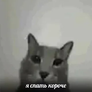 Sticker from У меня передоз