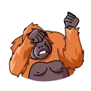 kmonkeys sticker preview 2
