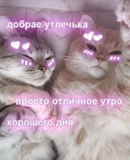 Sticker from Love ekler