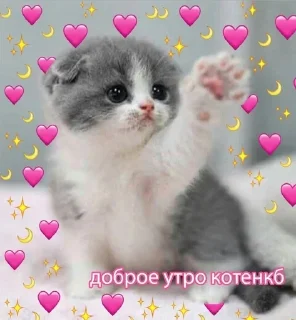 Sticker from Love ekler