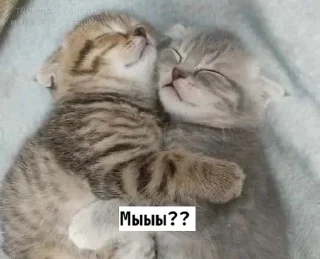 ❤️ emoji 𝗹𝗼𝘃𝗲 𝘆𝗼𝘂 ♡ Telegram sticker 16 of 63