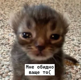 😔 emoji 𝗹𝗼𝘃𝗲 𝘆𝗼𝘂 ♡ Telegram sticker 14 of 63