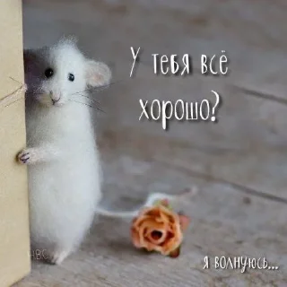 🐁 emoji я люблю тебя Telegram sticker 4 of 53