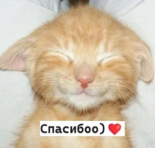 🤗 emoji 𝗹𝗼𝘃𝗲 𝘆𝗼𝘂 ♡ Telegram sticker 6 of 63