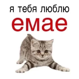 ❤️ emoji я люблю тебя Telegram sticker 14 of 53