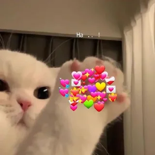 ❤️ emoji 𝗹𝗼𝘃𝗲 𝘆𝗼𝘂 ♡ Telegram sticker 21 of 63