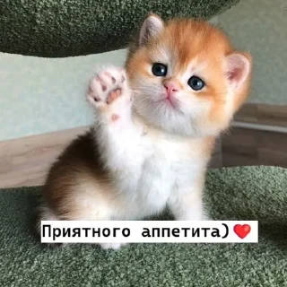 🤗 emoji 𝗹𝗼𝘃𝗲 𝘆𝗼𝘂 ♡ Telegram sticker 5 of 63