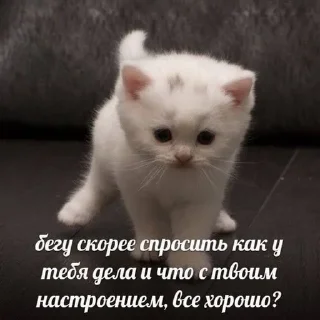 🌟 emoji богданчик любофь💋 Telegram sticker 9 of 120