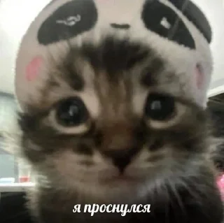 Sticker from Хуесосы