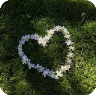 Sticker from Love