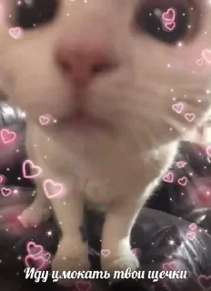 🌟 emoji богданчик любофь💋 Telegram sticker 11 of 120