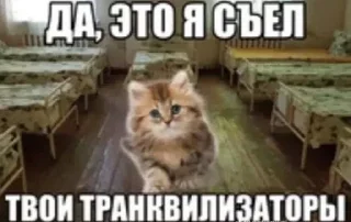 😋 emoji Жиза от @Seikqxz Telegram sticker 17 of 42