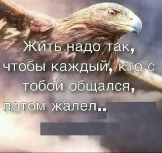 Sticker from побазарим?)