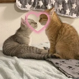 Sticker from люблю♡