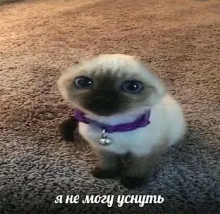 🌟 emoji жонтой Telegram sticker 7 of 68